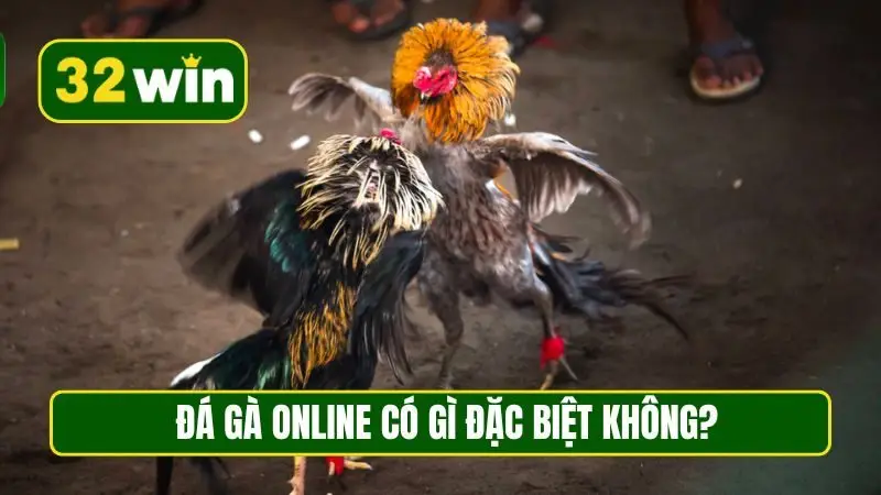Đá gà online có gì đặc biệt không?